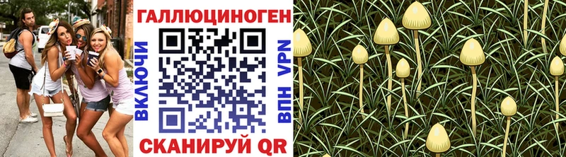 Купить  Урус-Мартан  Псилоцибиновые грибы мухоморы 